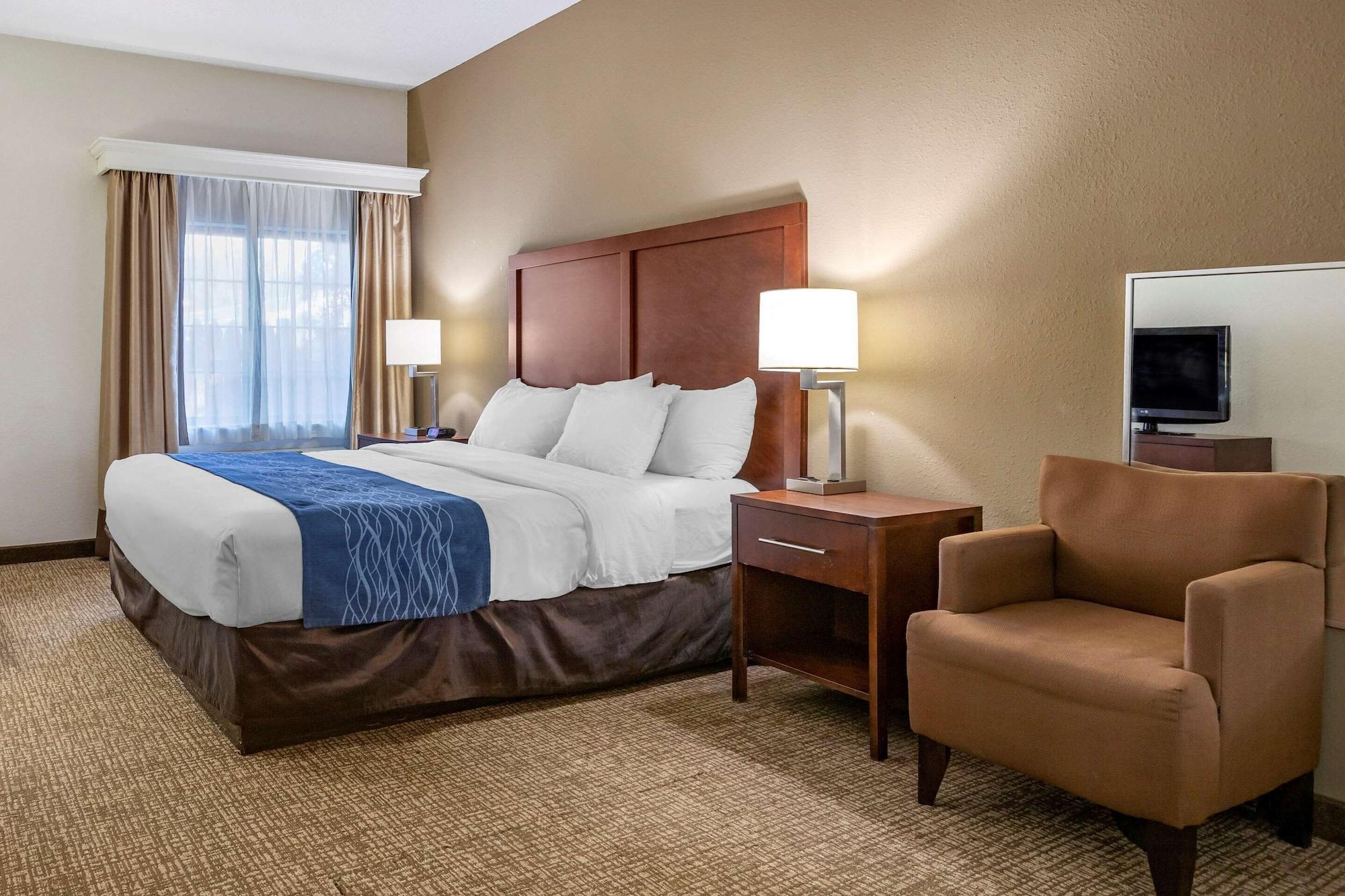 Comfort Inn Downtown - University Area Kalamazoo Exterior photo